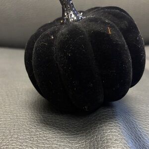 Black Velvet Pumpkin Decor